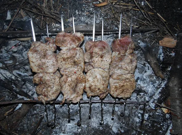 Mangal Için Domuz Pirzolası Açık Havada Kömür Üzerinde Şiş — Stok fotoğraf