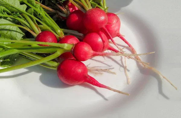 Rábano Jugoso Plato Blanco Cerca —  Fotos de Stock