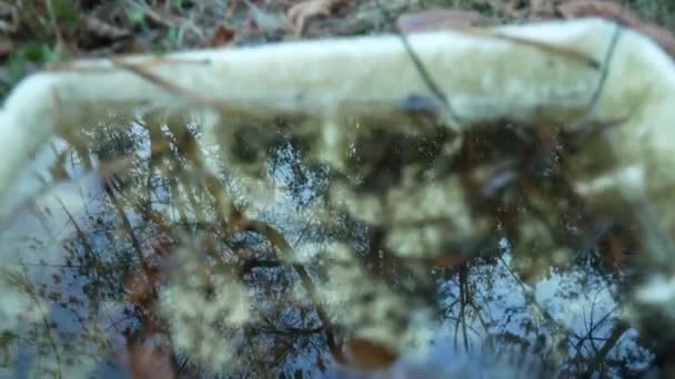 Reflectie van de blauwe lucht in water verandert om de vuilnisbelt in het bos te bekijken — Stockvideo