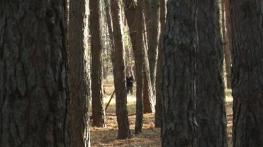 Ormanın derinliklerindeki genç adam cep telefonuyla konuşuyor.