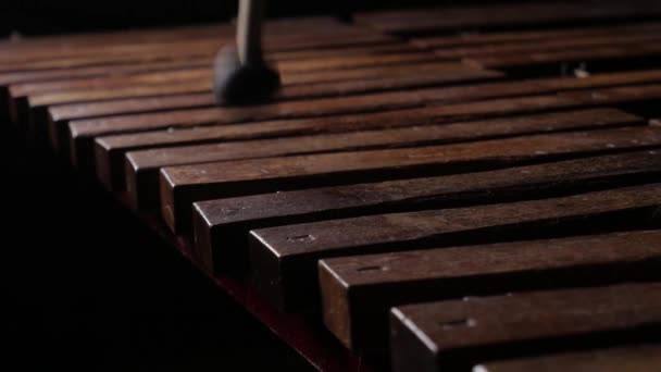 Manlig musiker spelar xylofon eller marimba — Stockvideo