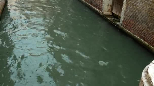 Подорож моторним човном по вузькому Венеційському каналу. — стокове відео