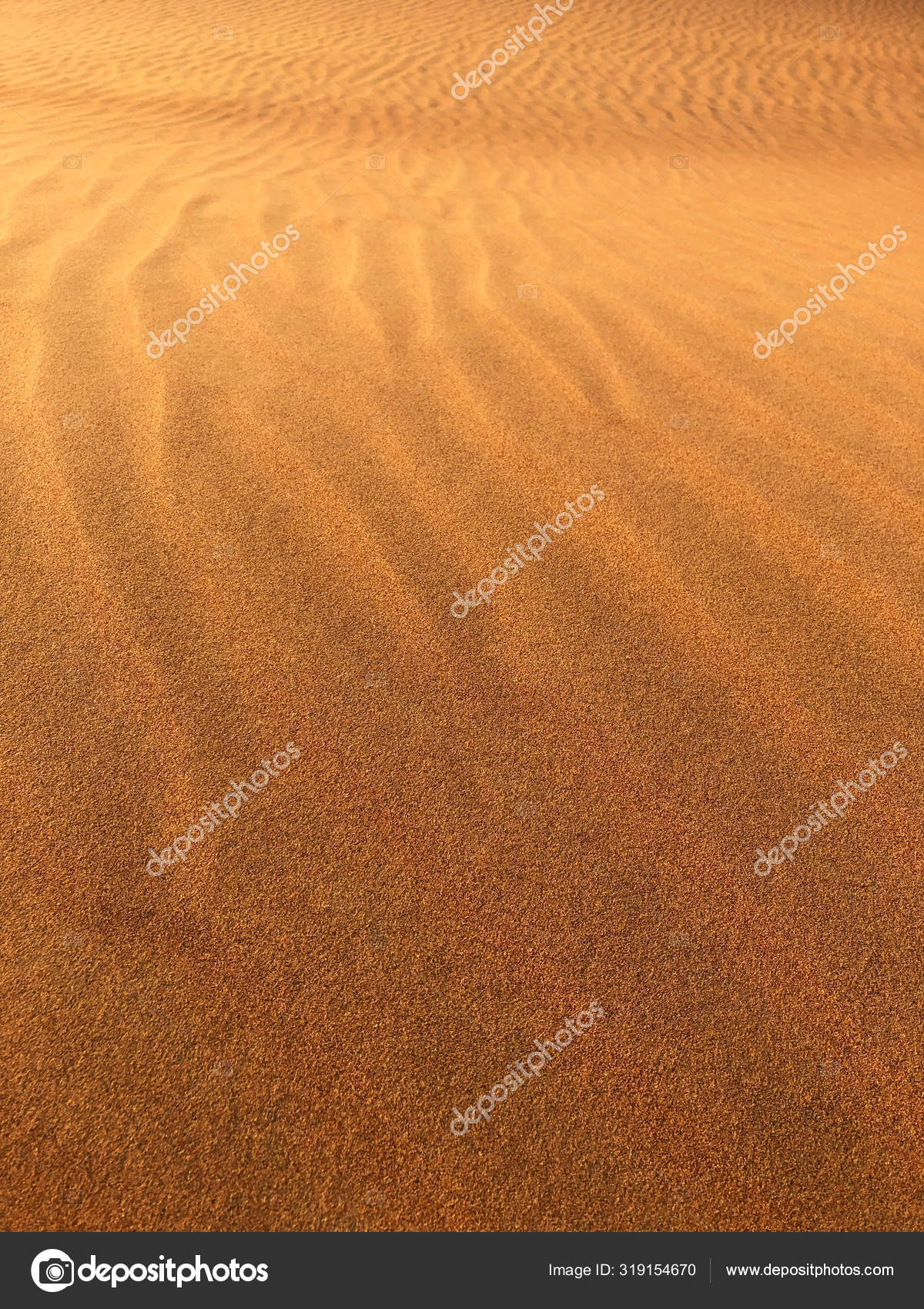 Desert Sand Dune Closeup Background Stock Photo Image By C Vlyubov