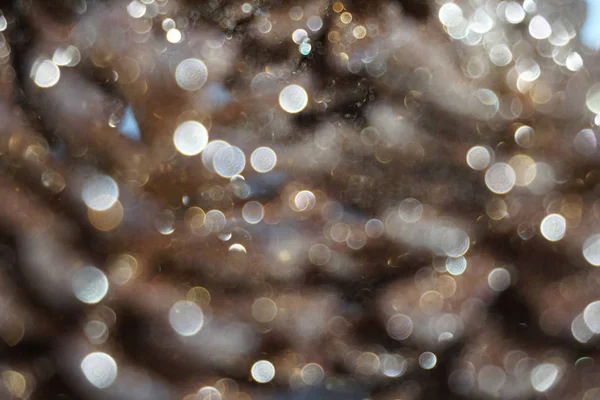 Güzel bulanık altın Noel kozalakları.