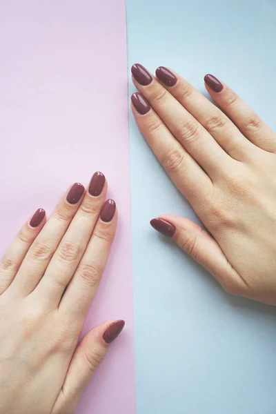 Violet manicure on blue and pink background. — Stock Photo, Image