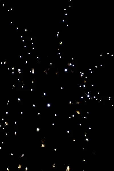 Palma con decoraciones de luz de Navidad  . — Foto de Stock