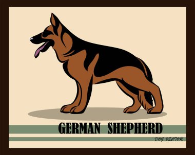 Alman Çoban Köpeği renk vektörü 10