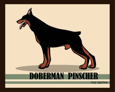 Doberman Pinscher Köpek vektörü 10