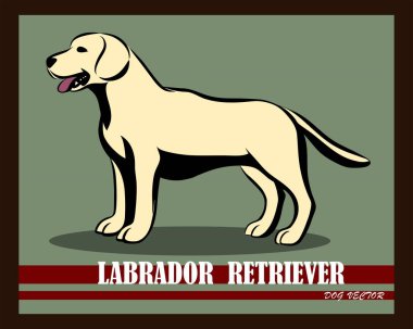 Labrador Retriever köpek vektörü 10 birim