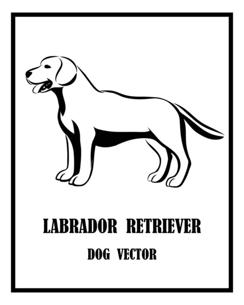 Vector Blanco Negro Del Perro Labrador Retriever Está Pie — Vector de stock