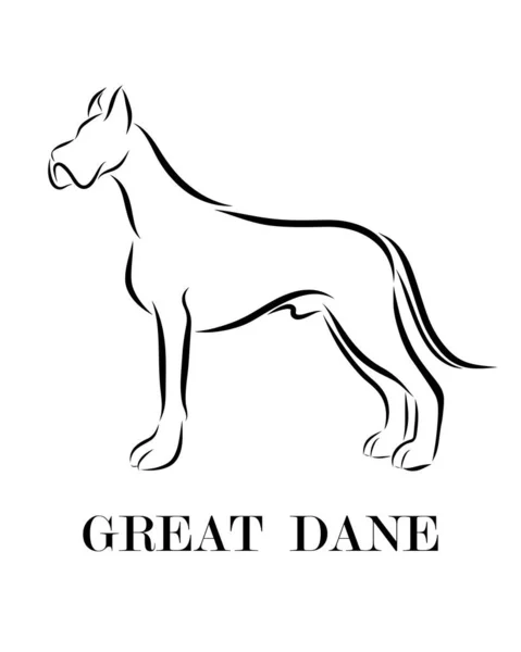 Черная Линия Белом Фоне Собаки Великого Датчанина Стоит — стоковый вектор