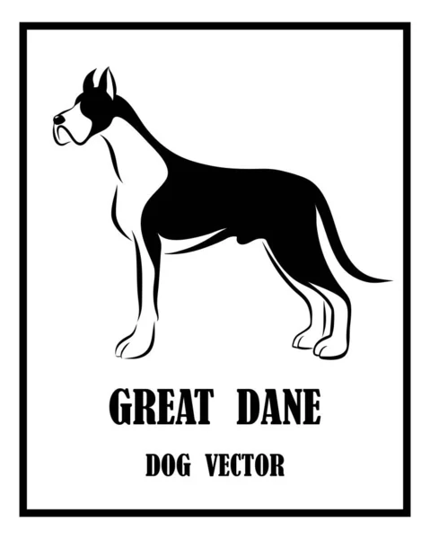 Vector Blanco Negro Great Dane Dog Está Pie — Vector de stock