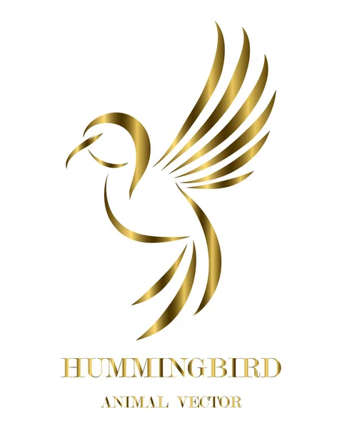 Golden line art Vector illustration on a white background of flying hummingbirds. Suitable for making logos