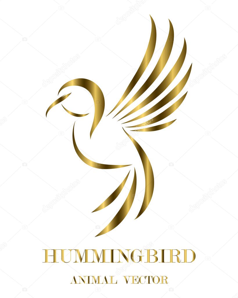 Golden line art Vector illustration on a white background of flying hummingbirds. Suitable for making logos
