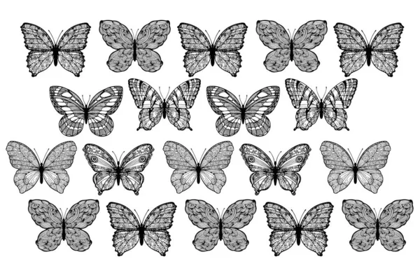 シームレスな蝶パターンベクトルイラスト — ストックベクタ