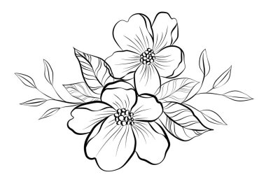 Çeviri: nazo82 Shagrathian