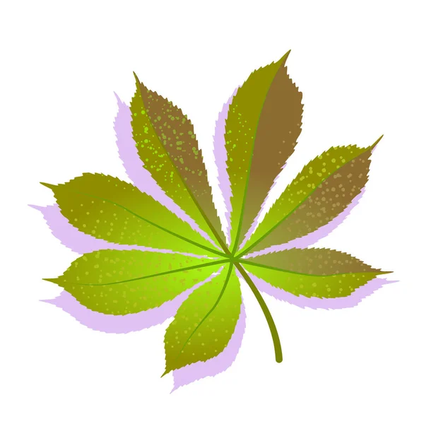 Зеленый лист каштана текстурированный с тенью, изолированный на белом фоне. Одинокая икона природы, символ экологии. Векторная иллюстрация запасов. дизайн логотипа — стоковый вектор