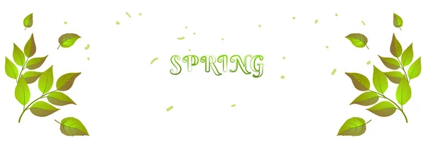 Tavaszi fejléc zöld ebédek és szöveges web háttér. Nyári színes banner, Nature borító háttér. Friss horizontális poszter sablon. Öko-tervezési vektor izolált illusztráció. Tavaszi koncepció — Stock Vector