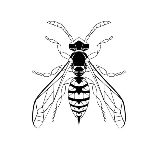 Wasp ligne dessin dessin dessin animé pour adulte coloriage anti-stress page. Abeille isolée sur fond blanc. Bumblebee Doodle dessiné à la main, illustration vectorielle graphique. Style Zentangle. Croquis d'insectes Vitrail — Image vectorielle