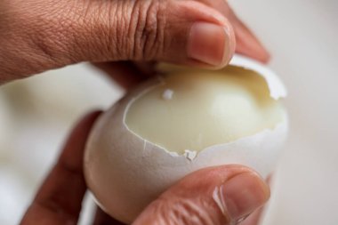 Dişi Eller Kabuklu Yumurtalar