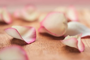 Yumuşak Romantik Pembe Taç Arkaplanı