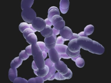 Streptococcus Pneumoniae Bacteria clipart