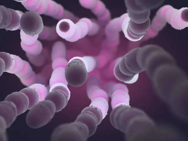 Bakterii Streptococcus Pneumoniae — Zdjęcie stockowe
