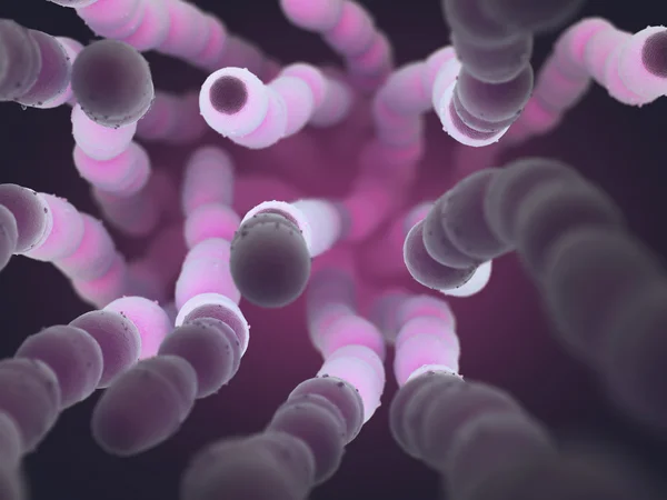 Streptococcus Pneumoniae bacteriën — Stockfoto