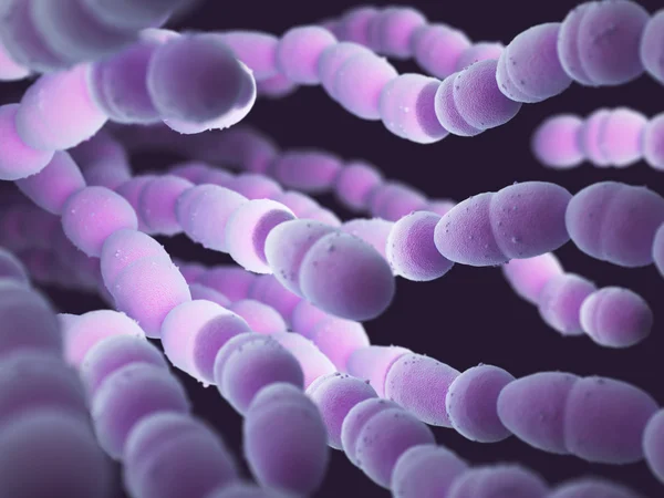 Streptococcus Pneumoniae bakteri — Stok fotoğraf