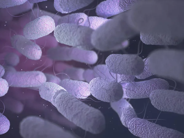 แบคทีเรีย Enterobacteriaceae ครอบครัว — ภาพถ่ายสต็อก