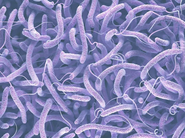 Bactérias Vibrio Cholerae — Fotografia de Stock