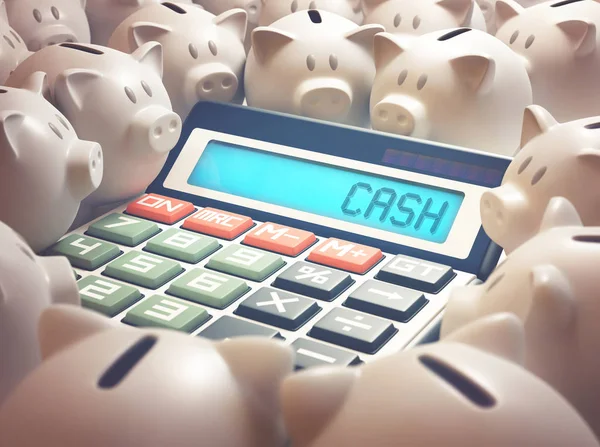 Piggy Bank Cash Calculator — Stock Photo, Image