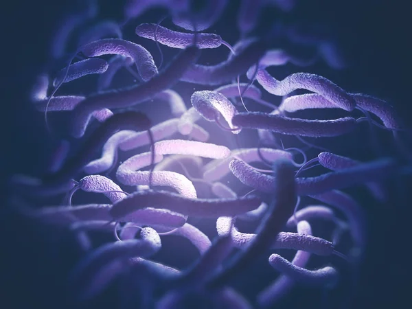 Vibrio Cholerae Bacteria — Stock Photo, Image