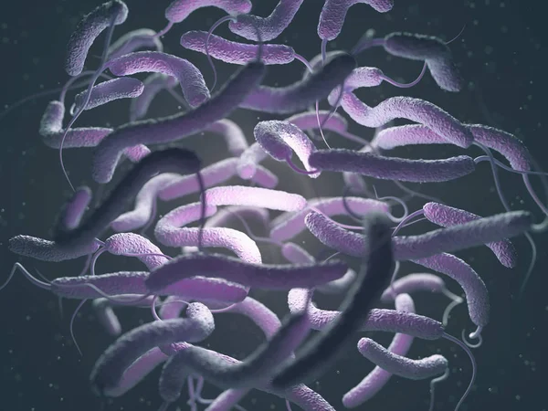 Vibrio Cholerae bacteriën — Stockfoto