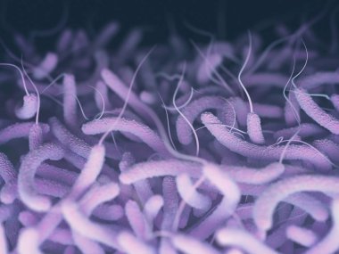 Vibrio Cholerae Bacteria clipart