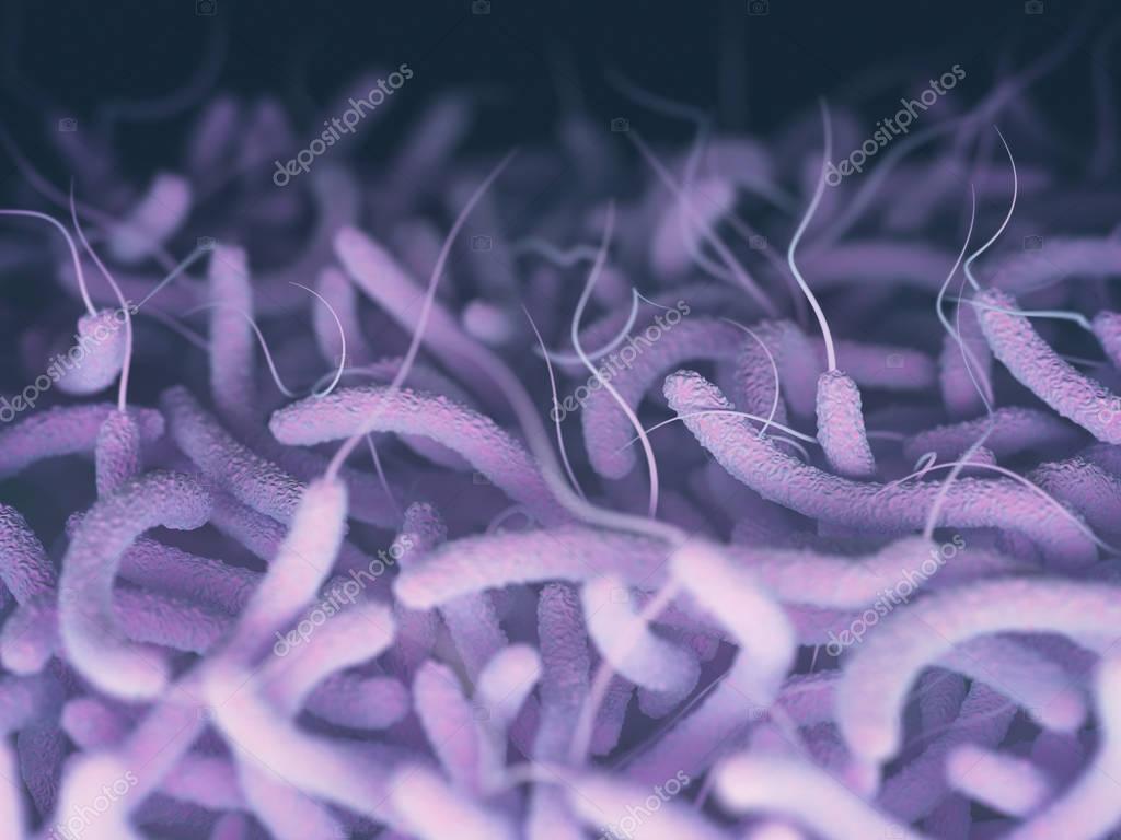 Vibrio Cholerae Bacteria — Stock Photo © ktsdesign #132950804