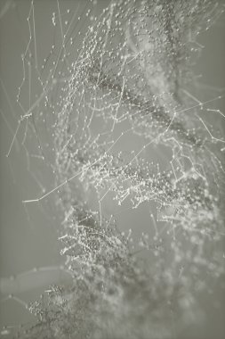 Deoksiribonükleik asit / Dna