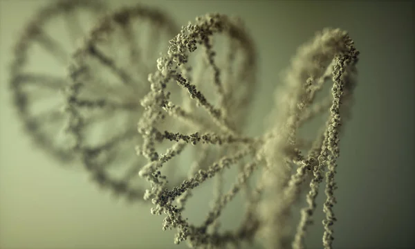 Ácido desoxirribonucleico / ADN — Foto de Stock
