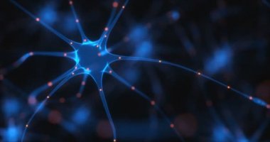 Nöronların elektrik darbeleri