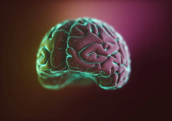 Στυλιζαρισμένο 3d εγκεφάλου — Φωτογραφία Αρχείου