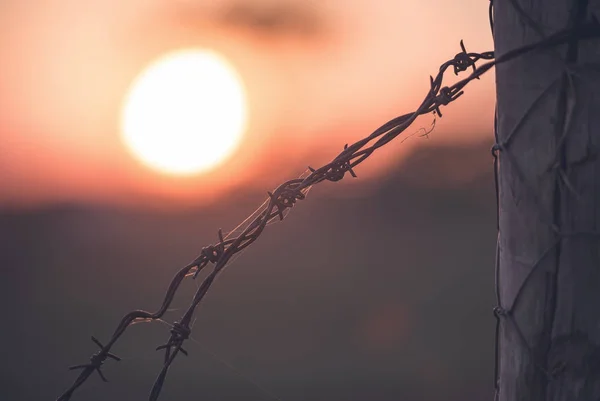 Zonsondergang achter het hek — Stockfoto