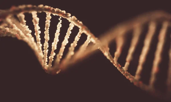 Estrutura da molécula de dna — Fotografia de Stock