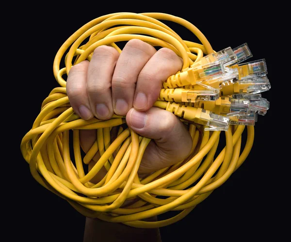 Yellow RJ45 Cables — Stock Photo, Image