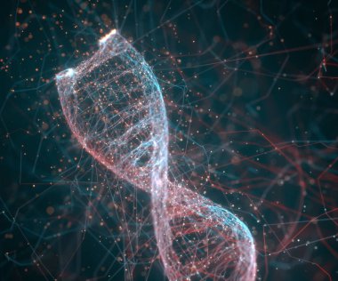 DNA moleküler yapısı