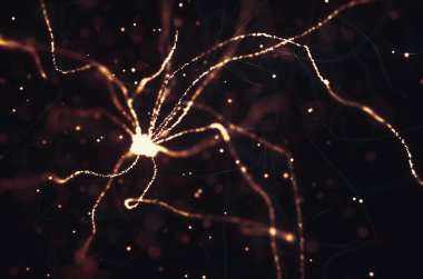 Nöronların elektrik darbeleri