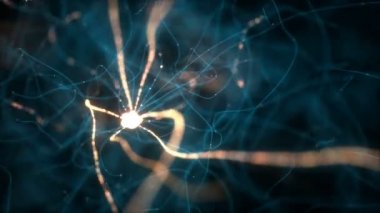 Birbirine bağlı nöronların elektriksel darbelerle üç boyutlu çizimi.