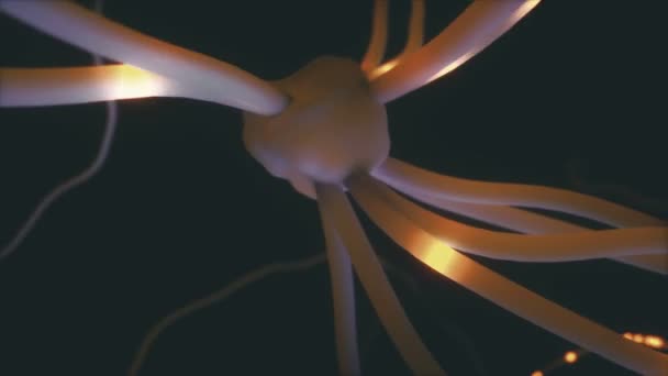 電気パルスと相互接続したニューロンの3次元図 — ストック動画