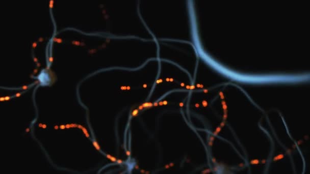 電気パルスと相互接続したニューロンの3次元図 — ストック動画
