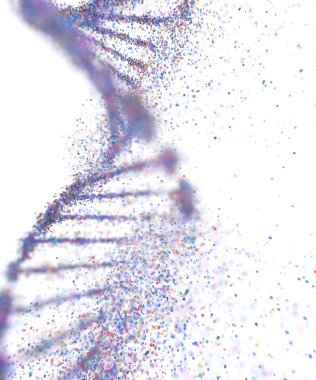 Genetik Bozukluk DNA Molekül Yapısı