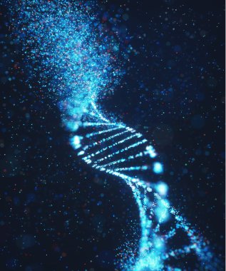 Oksidatif DNA Genetik Bozukluk Moleküler Yapısı